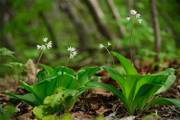 你要好好的句子汇总