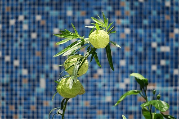 母亲节对妈妈说的话150句