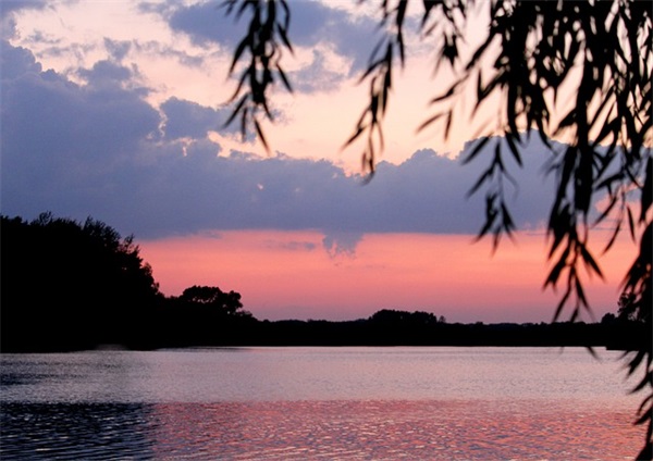 老师辛苦了句子166句