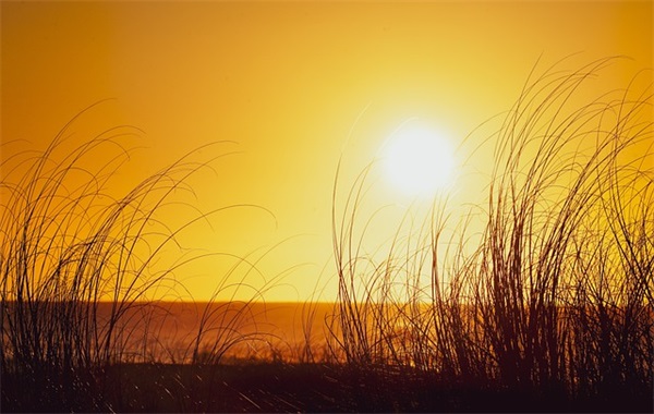 感谢领导的话语