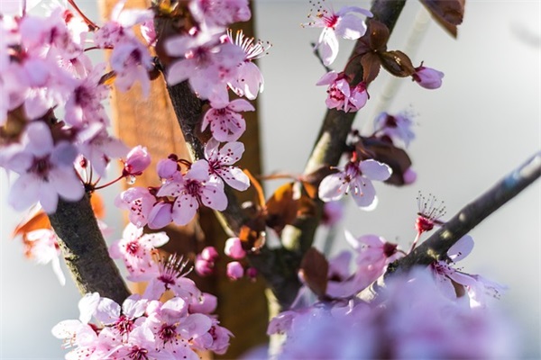 幽默浪漫的爱情句子