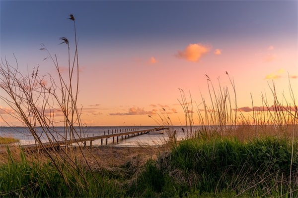 官宣恋爱了的句子精选35条