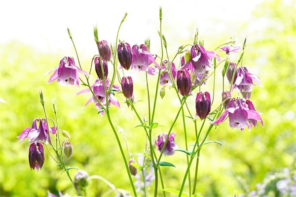 早出晚归句子(合集71条)