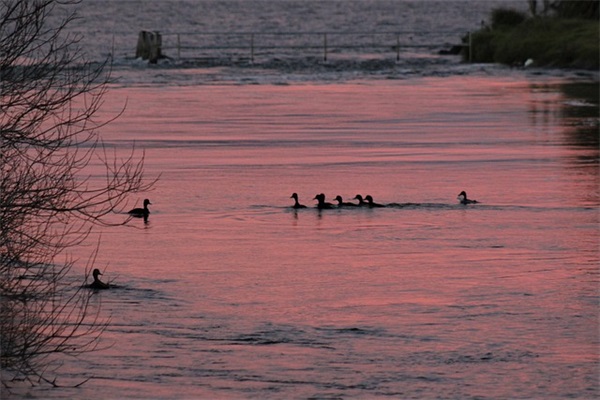再见我来了句子