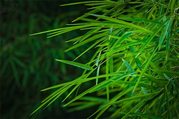 描写立秋天气的句子 立秋天气凉爽的句子