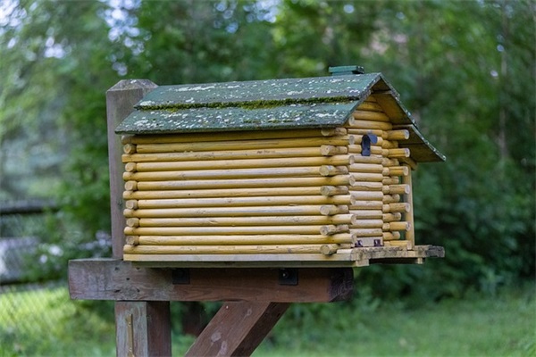 情侣为未来努力的句子 2025年情侣陪伴的句子