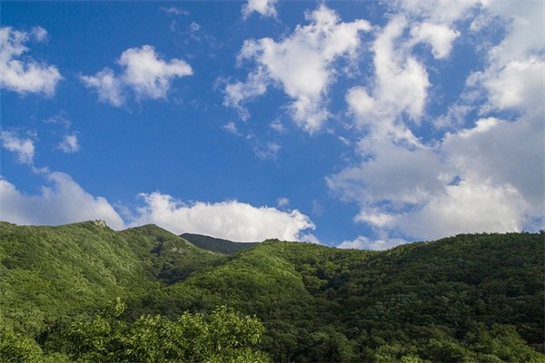 高考励志句子大全