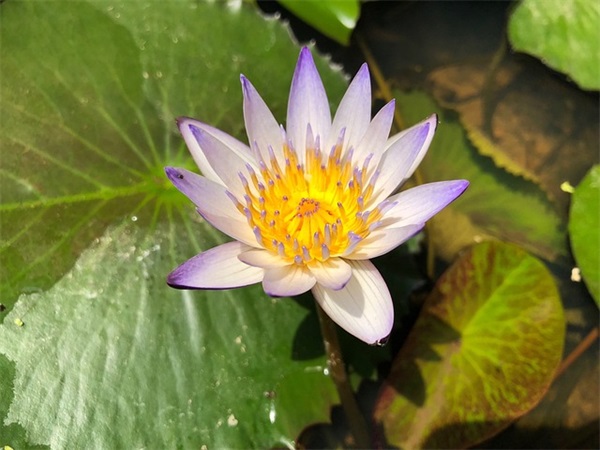 努力工作的句子 努力工作正能量的句子