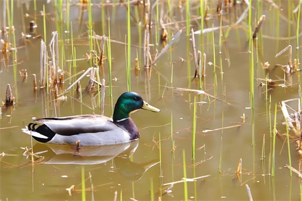 女人内心强大霸气的句子