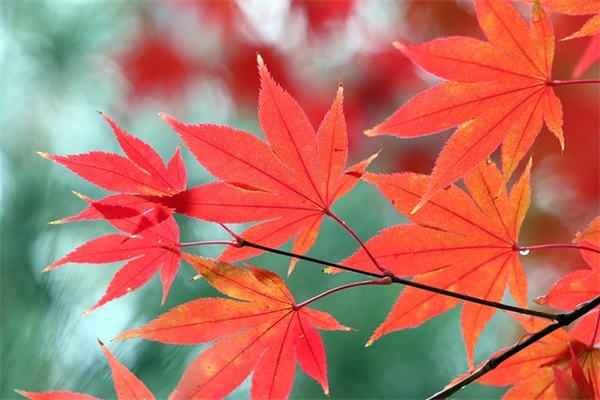 带哲理的句子摘选