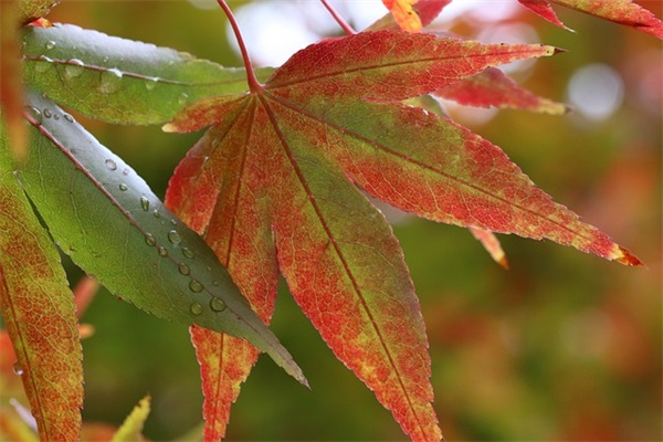 干净的句子 简单干净的短句