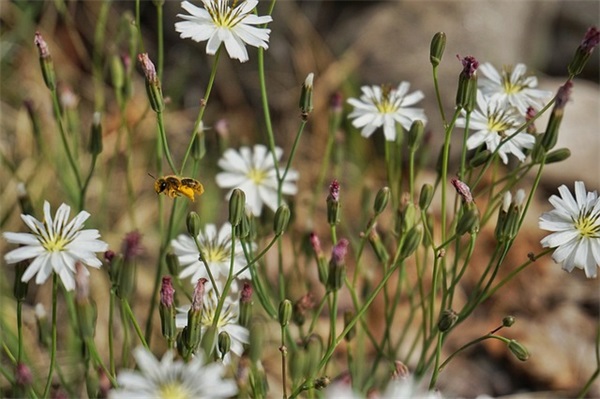 努力之后终于成功的句子