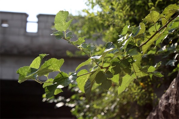特别霸气高冷的短句 霸气超拽高冷吸引人句子