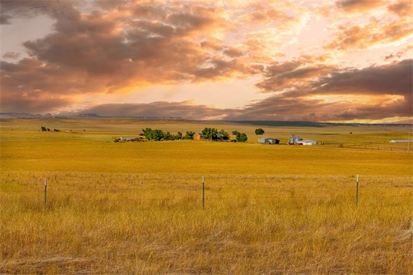 抖音很火的毕业寄语大全(抖音上很火的毕业句子)