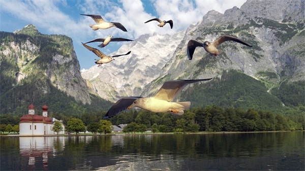 简短心痛的英语句子 极度伤心的英语短句子