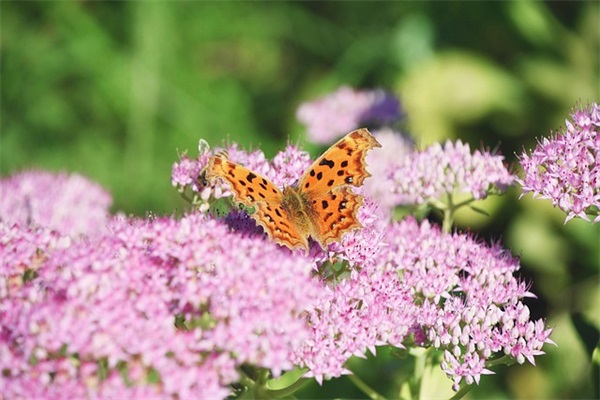 男生帅气微博昵称大全(共119个)