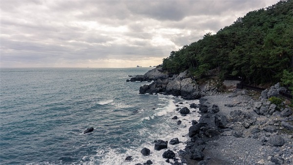 外国男孩的名字(共100个)