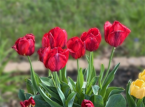 可爱带特殊符号的女生微博网名(精选88个)