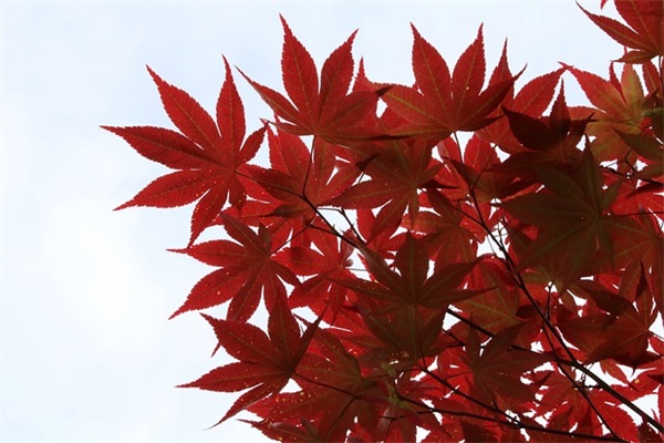 游戏网名两个字的