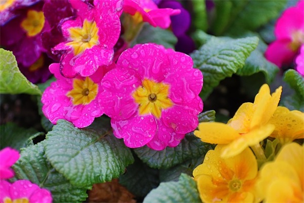 乖乖软软的网名女生