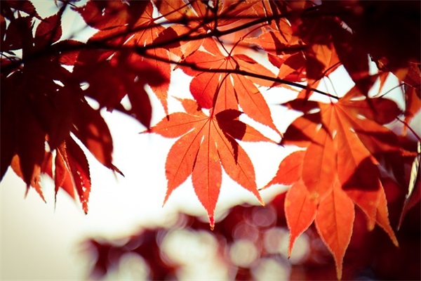 四字游戏名字女