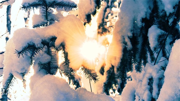 感恩体育老师的句子