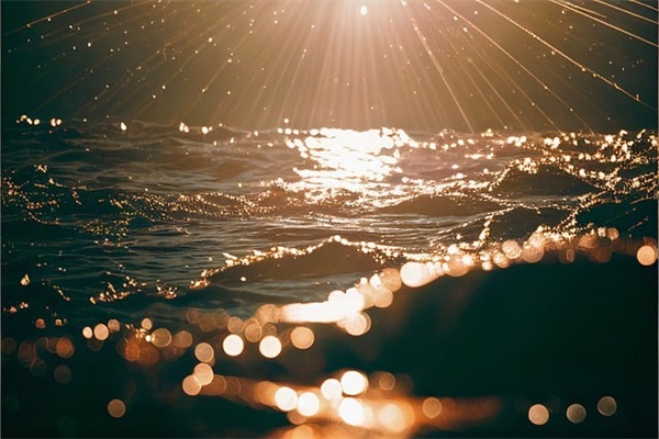 关于要珍惜当下生活 感悟生命的意义的人生感悟句子