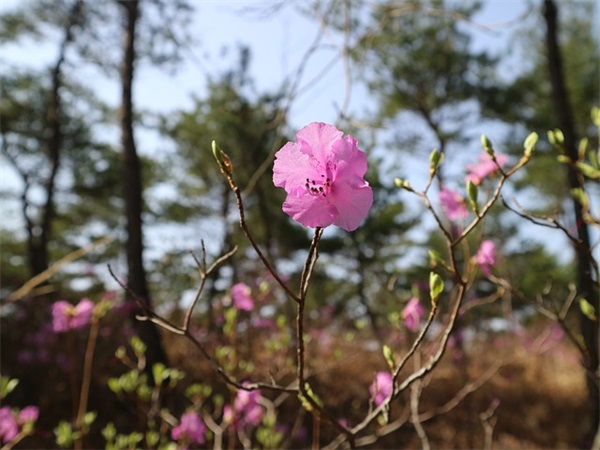 老人与海的优美句子44句