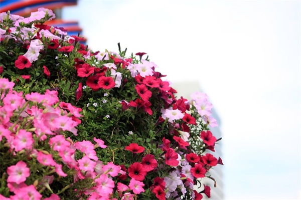 2025最新问候午安的优美句子