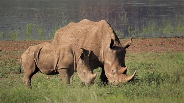 只有想不通的人没有走不通的路(微信励志的句子简短)