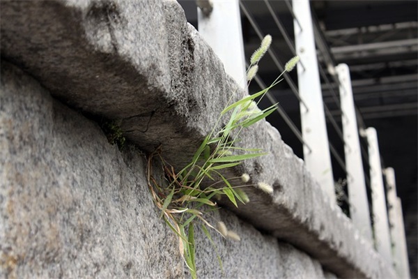 形容恐惧的句子66句