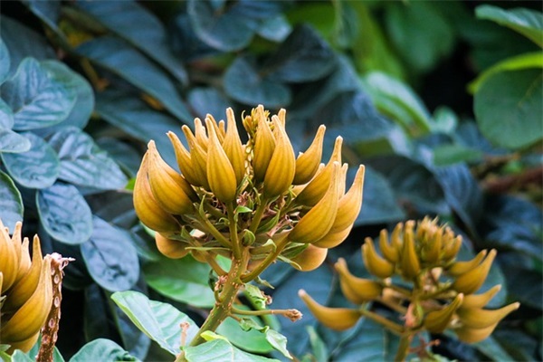 形容非常落魄无奈的短句子 形容婚姻无奈短句