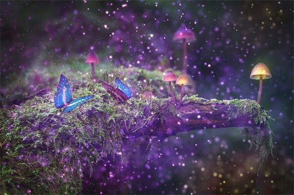 让人最励志的句子