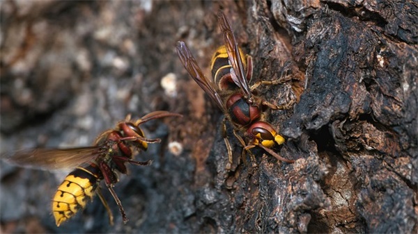 撑过最难的日子的句子 难熬的简短句子