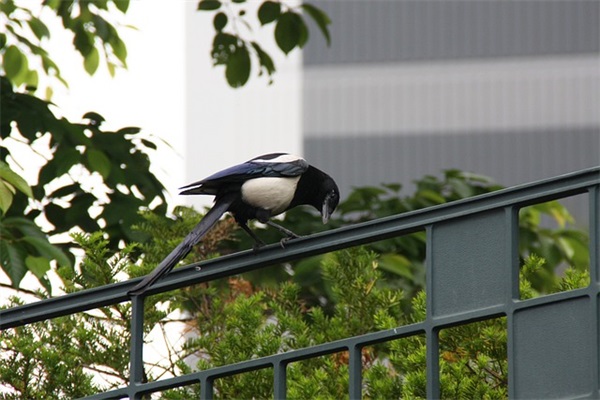 伤感的哲理句子94句