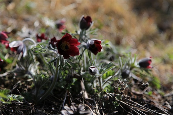 纪念918事变的文案句子2025 跨年文案句子2025搞笑