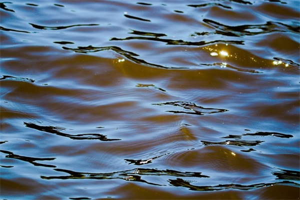 现实生活又很扎心的句子大全