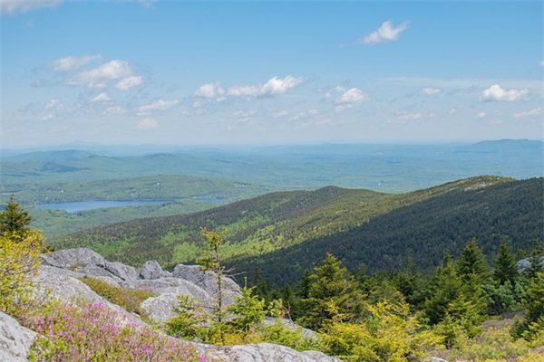 羡慕别人爱情的句子 羡慕别人美好爱情的句子