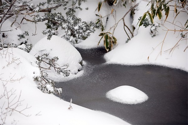 qq炫舞印象伤感句子82句