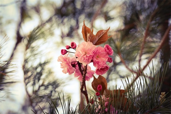 描写心情优美句子94句