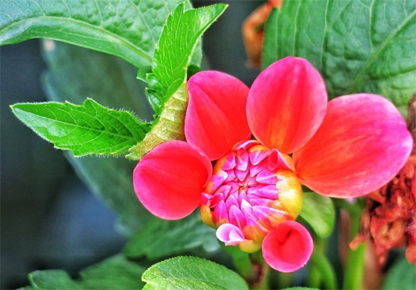 反心灵鸡汤的搞笑句子 心灵鸡汤图片搞笑