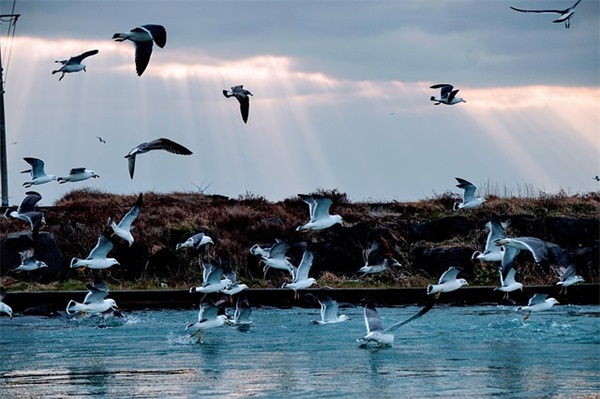 2025高考冲刺的励志句子