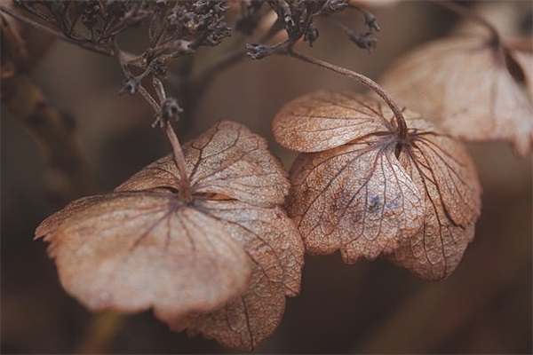 特别菜的游戏昵称（一看就很坑的王者名字）