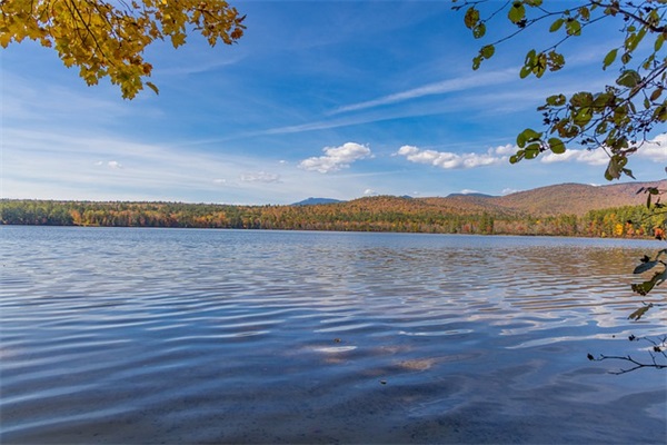 形容田野的句子