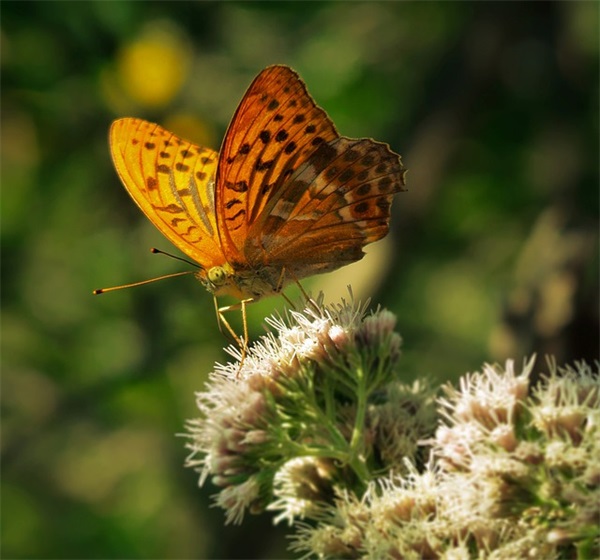 非主流的句子82句