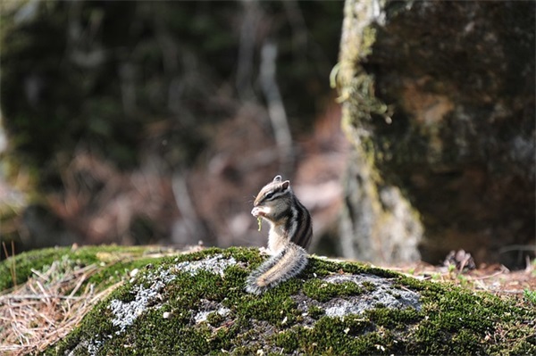 正能量的哲理句子 饱含哲理的话