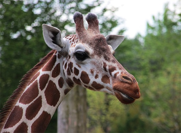 励志小清新句子80句