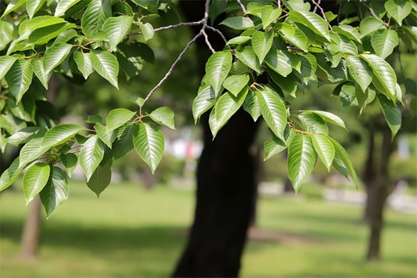 一个人委屈到哭的伤心句子(让男人后悔心疼的伤心句子)