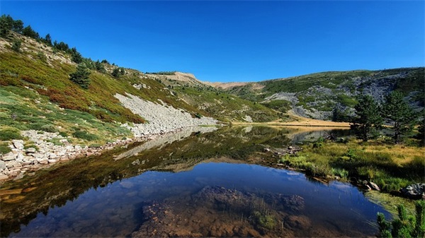 抗击疫情最暖心的问候语(疫情面前保护好自己的句子)