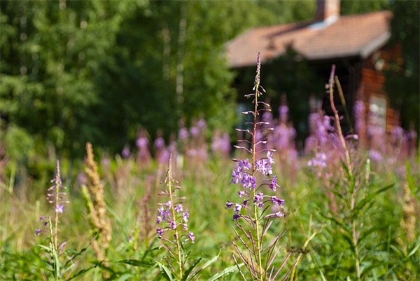 发宝宝百天照简短句子